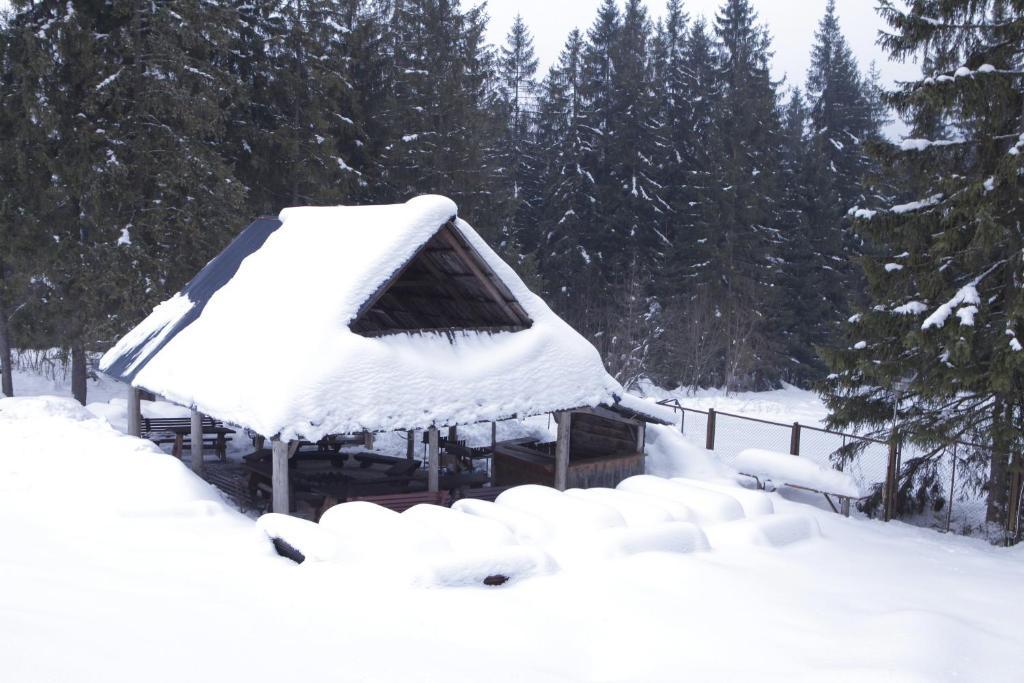 Siwarna Natura Tour Hotell Zakopane Exteriör bild